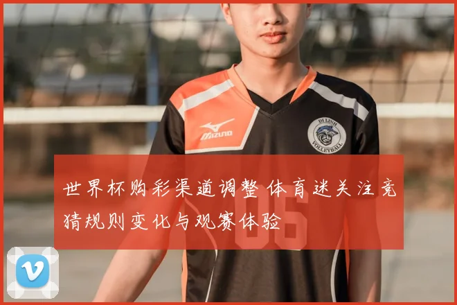 世界杯购彩渠道调整 体育迷关注竞猜规则变化与观赛体验