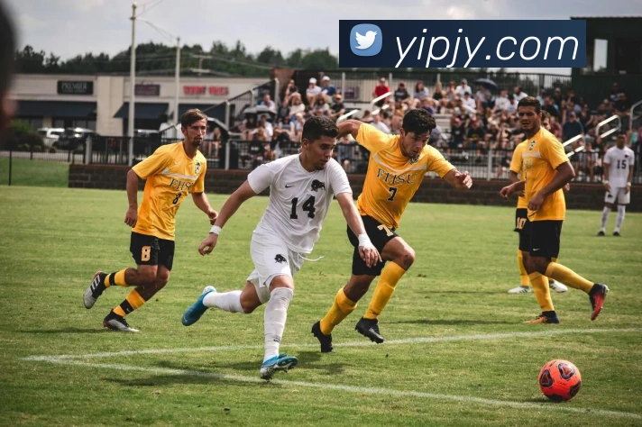 中欧官网app平台生态图